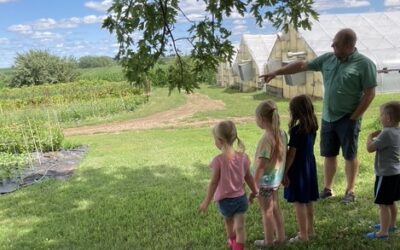 Tales Around Town at Alyssa’s Flower Farm
