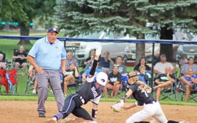 Nighthawks fall in season finale